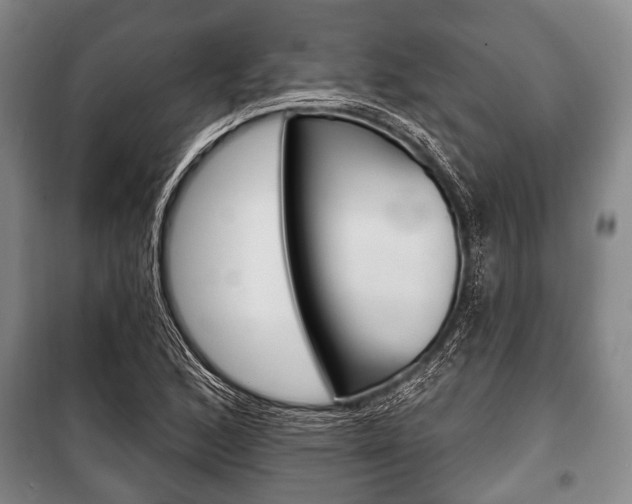 X0000101201168200806270822
