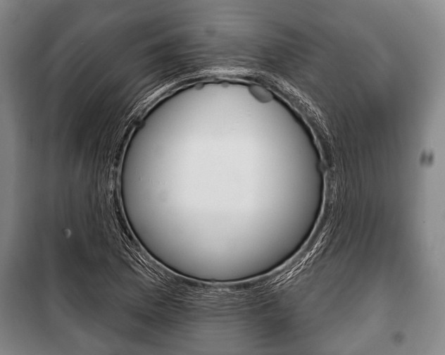 X0000101201169200806270822