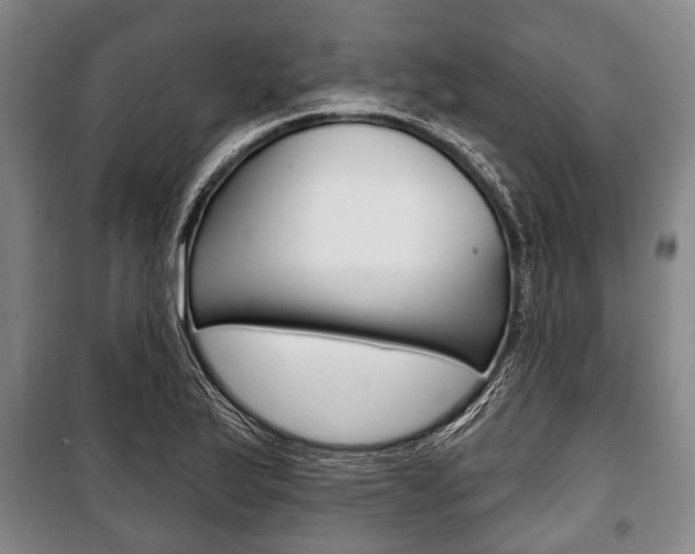 X0000101201175200806270822