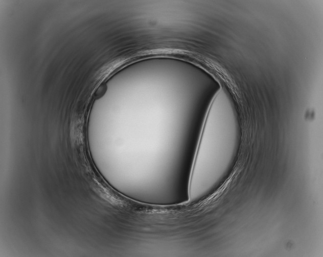 X0000101201177200806270822