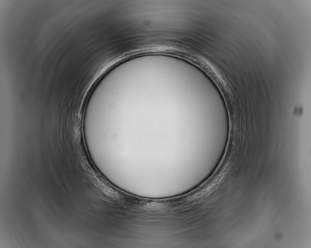 X0000101201178200806270822