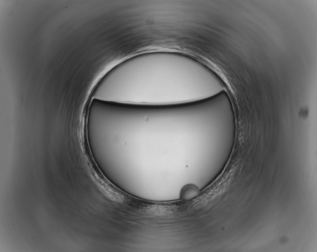 X0000101201179200806270822