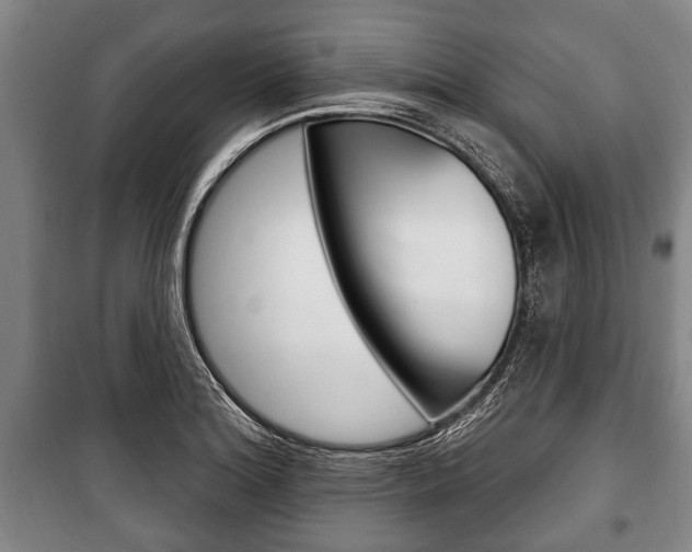 X0000101201180200806270822