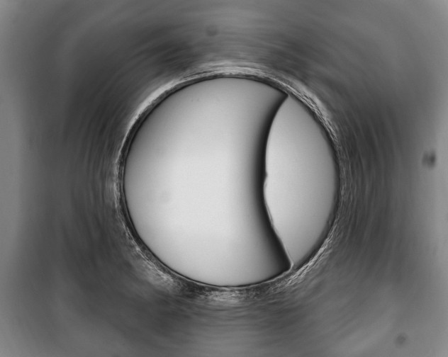 X0000101201182200806270822