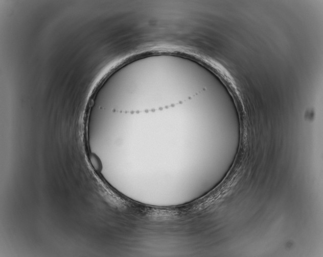 X0000101201183200806270822