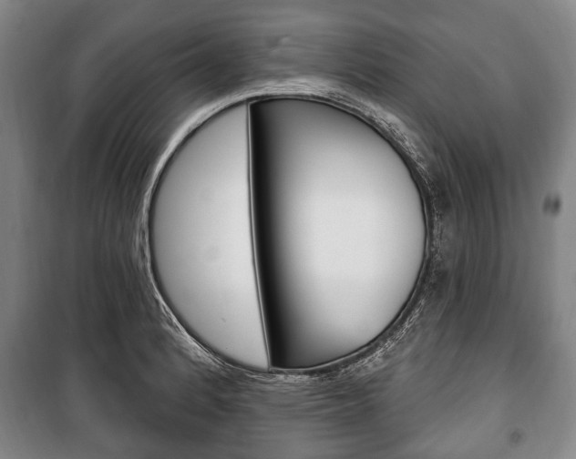 X0000101201184200806270822