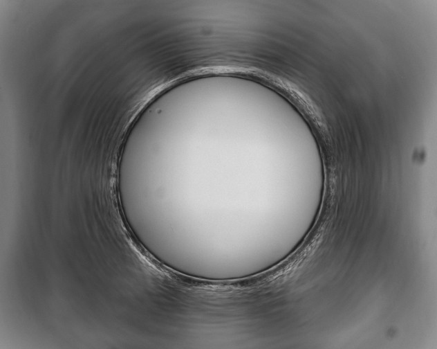 X0000101201185200806270822