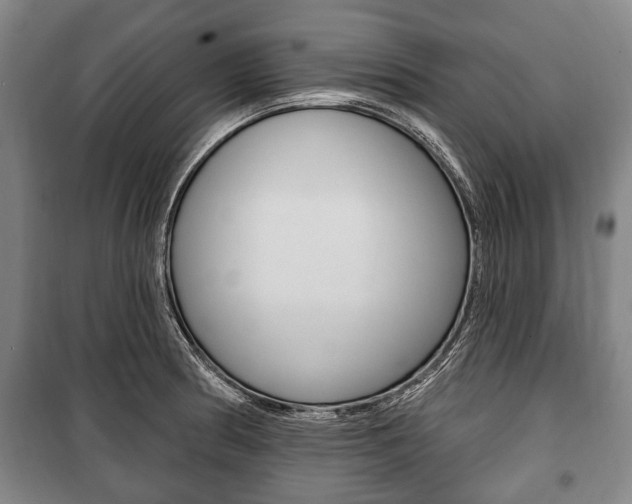 X0000101201186200806270822