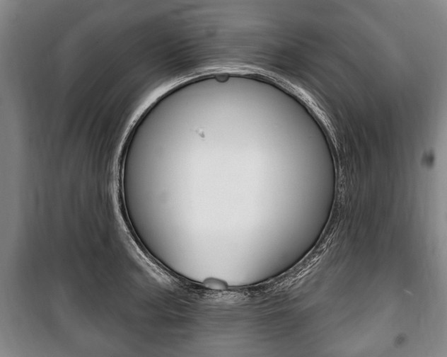 X0000101201187200806270822