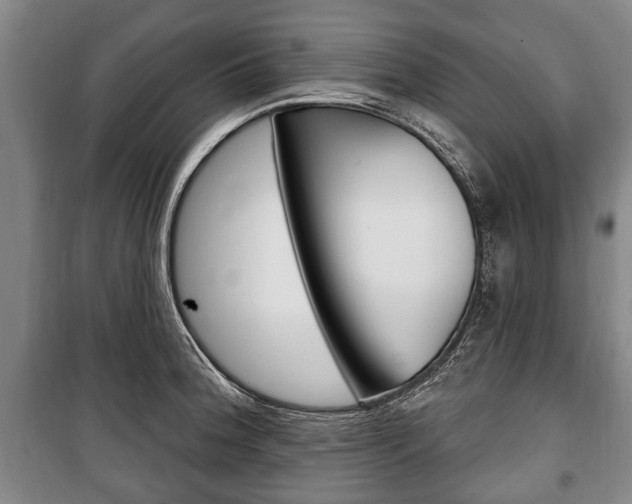X0000101201188200806270822