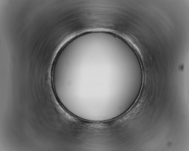 X0000101201189200806270822