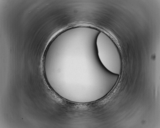 X0000101201190200806270822