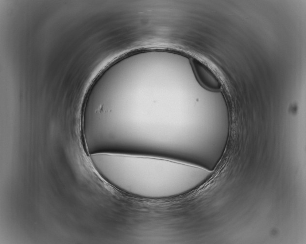 X0000101201191200806270822