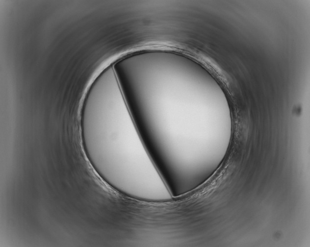 X0000101201192200806270822
