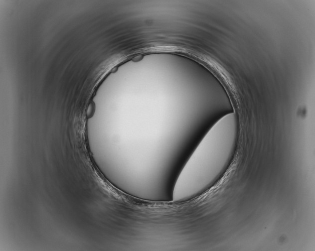 X0000101201193200806270822