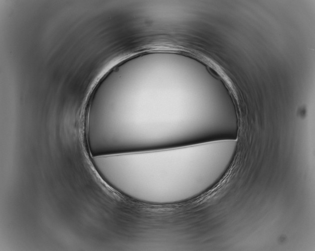 X0000101201195200806270822