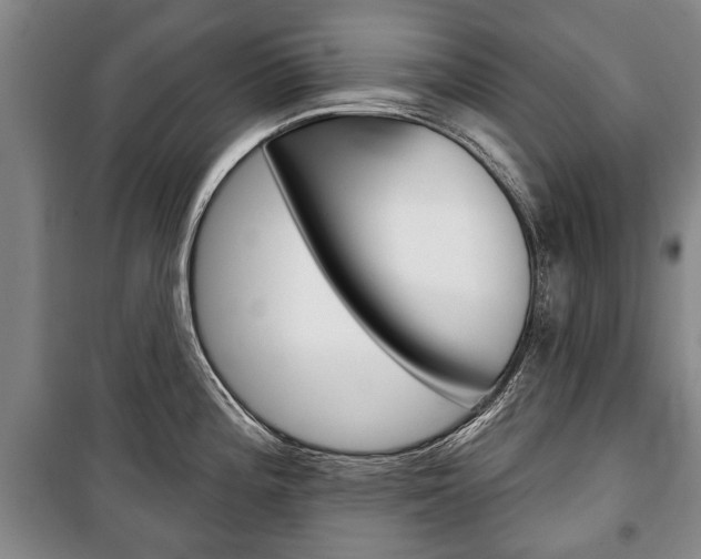 X0000101201196200806270822