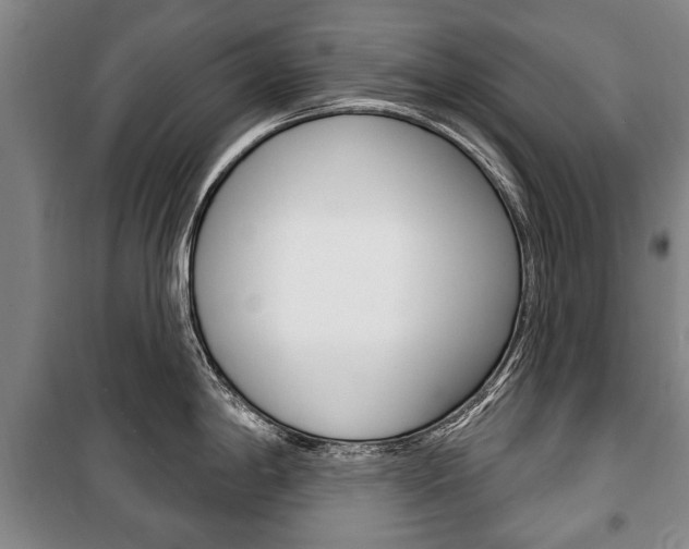 X0000101201198200806270822