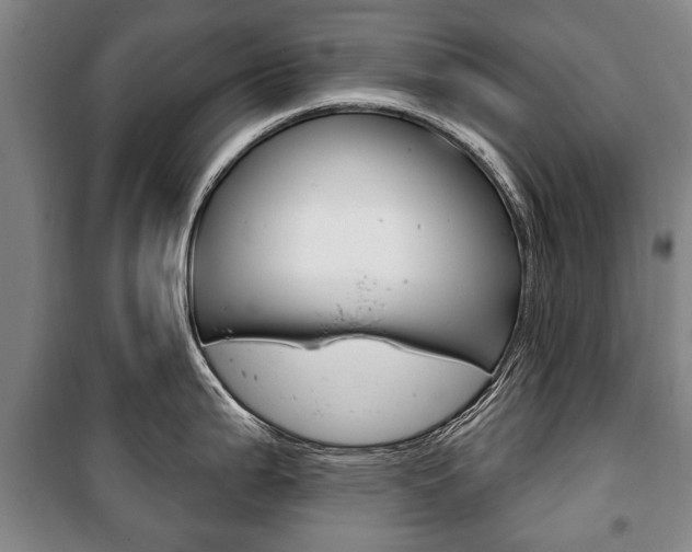 X0000101201199200806270822