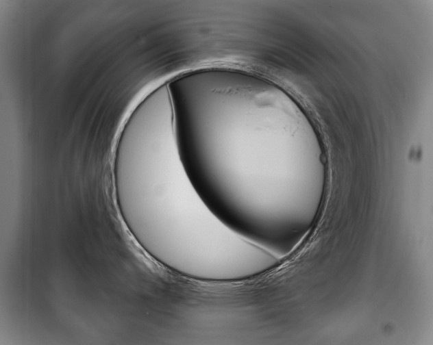 X0000101201200200806270822
