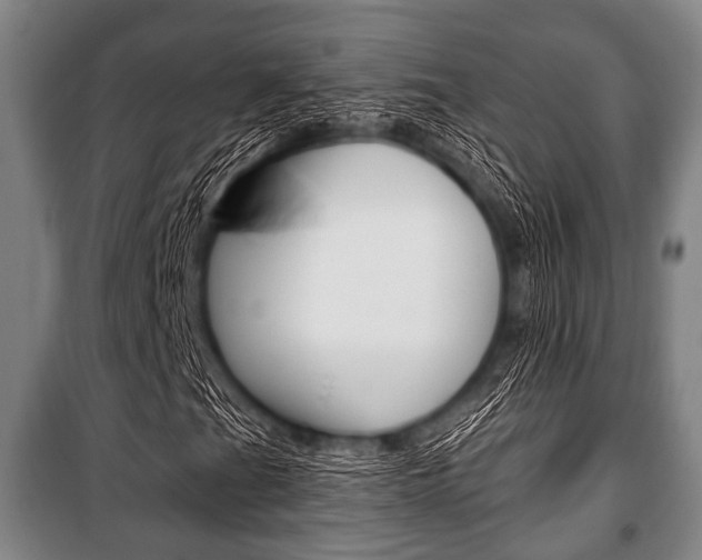 X0000101201201200806270821