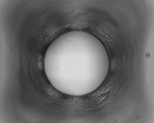 X0000101201202200806270821