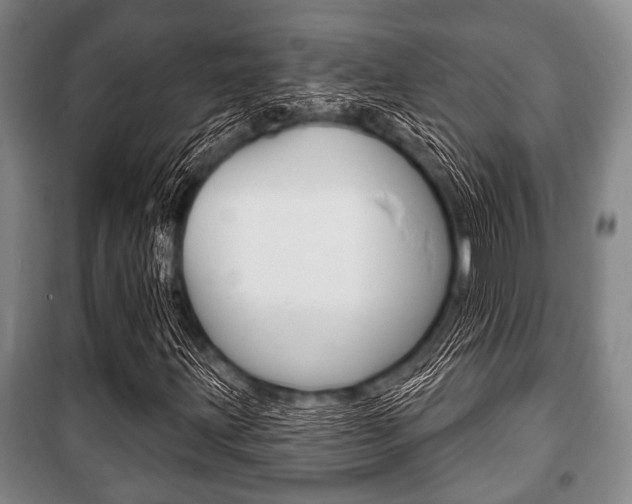 X0000101201203200806270821