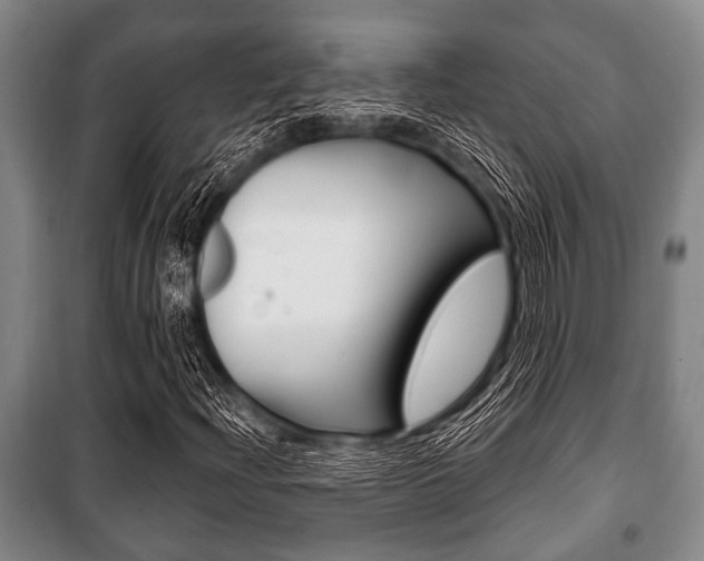 X0000101201204200806270821
