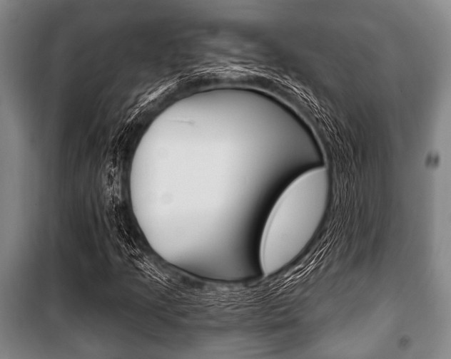 X0000101201205200806270821