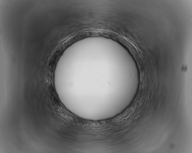 X0000101201207200806270821