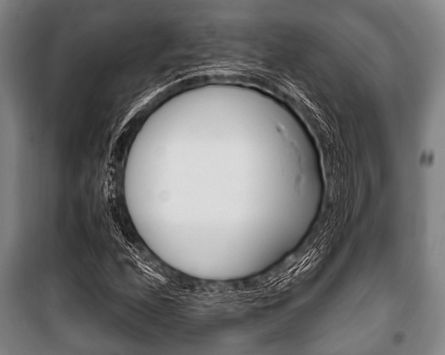 X0000101201208200806270821