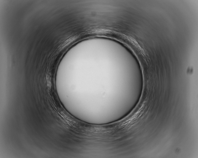 X0000101201209200806270821