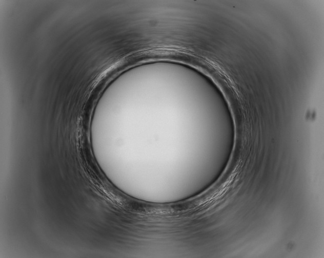 X0000101201210200806270821