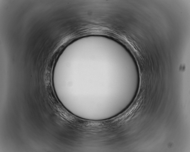 X0000101201211200806270821