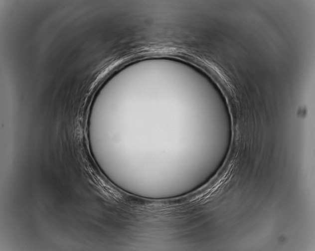 X0000101201212200806270821