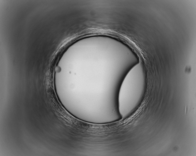 X0000101201215200806270821