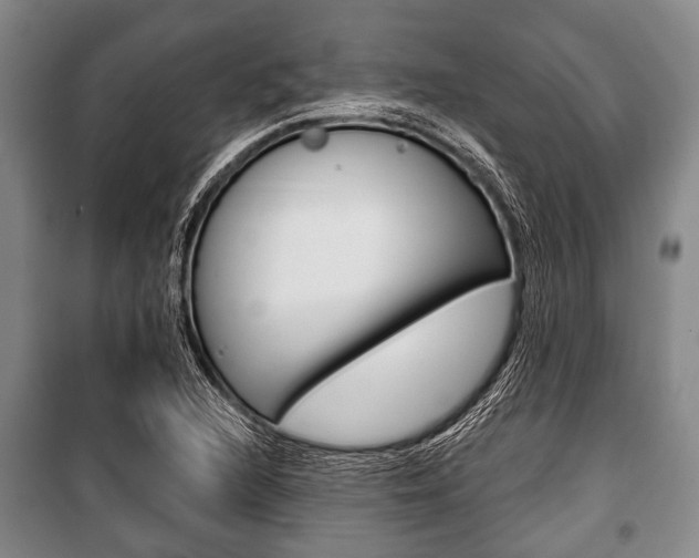 X0000101201216200806270821