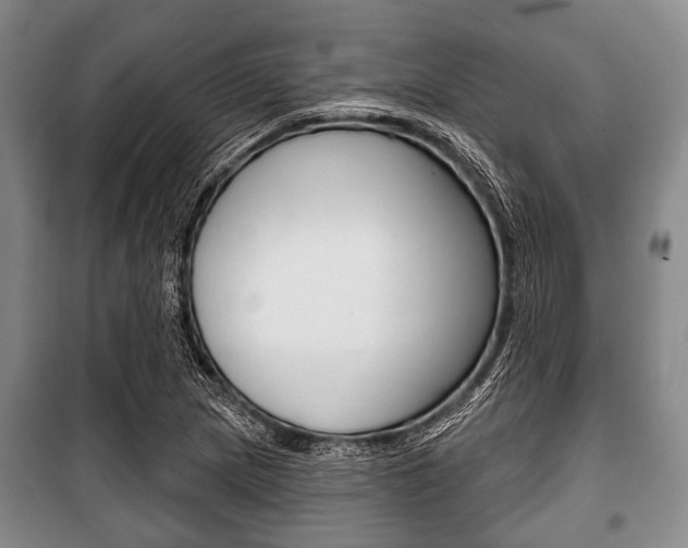 X0000101201217200806270821