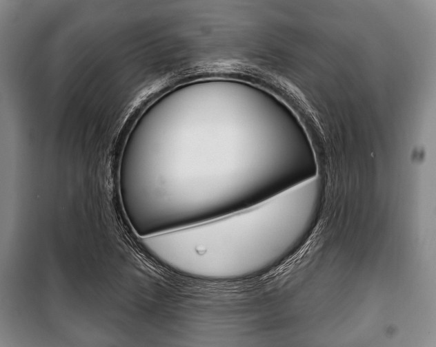 X0000101201218200806270821