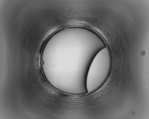 X0000101201219200806270821