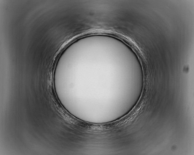 X0000101201220200806270821