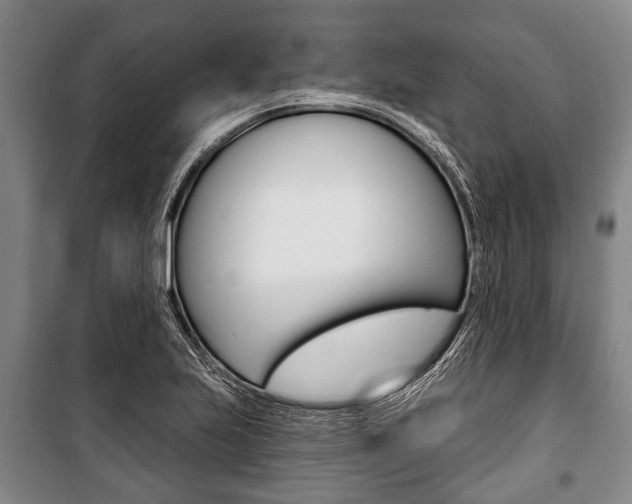 X0000101201223200806270822