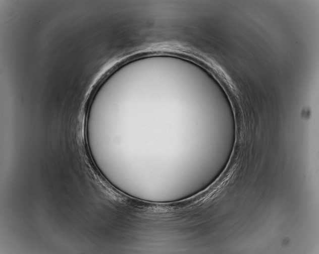 X0000101201224200806270822