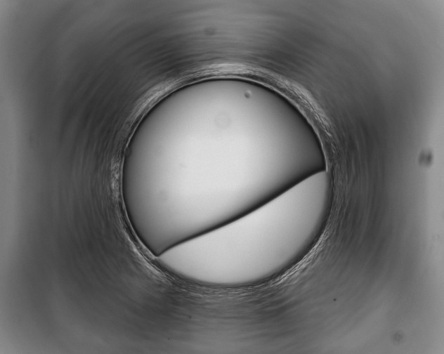X0000101201225200806270822