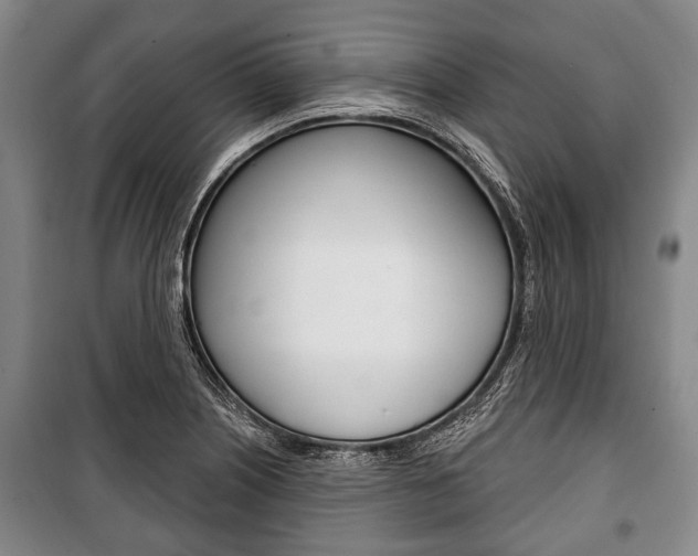 X0000101201226200806270822