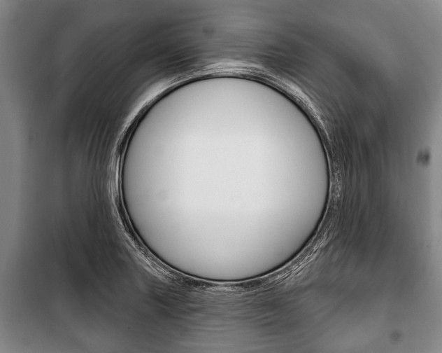 X0000101201227200806270822