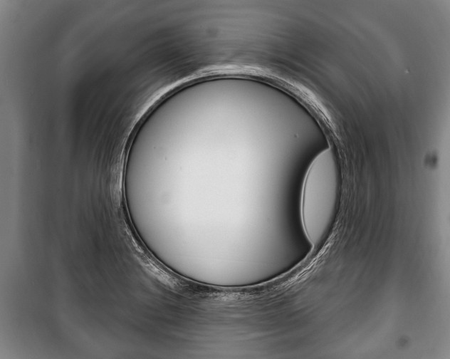 X0000101201228200806270822