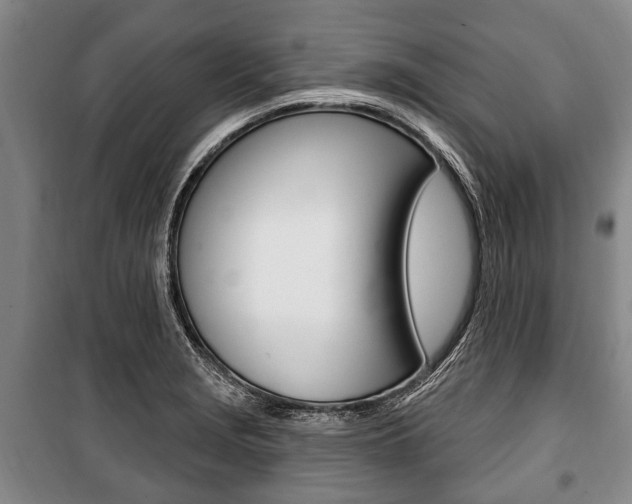 X0000101201229200806270822