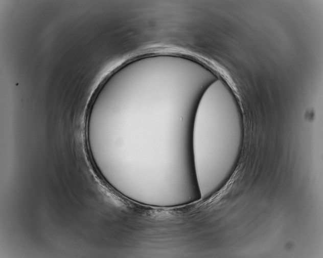X0000101201231200806270822
