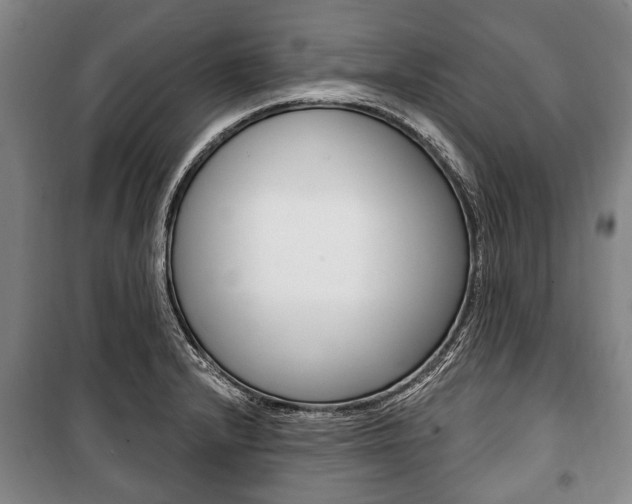 X0000101201232200806270822